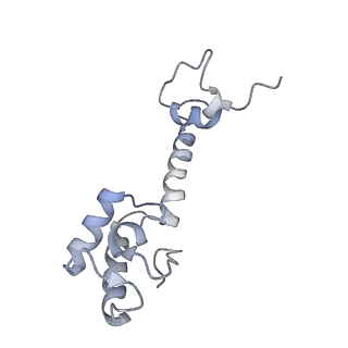 8615_5uyk_M_v1-4
70S ribosome bound with cognate ternary complex not base-paired to A site codon (Structure I)