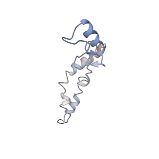 8615_5uyk_N_v1-3
70S ribosome bound with cognate ternary complex not base-paired to A site codon (Structure I)