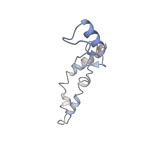 8615_5uyk_N_v1-4
70S ribosome bound with cognate ternary complex not base-paired to A site codon (Structure I)