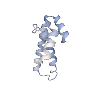 8615_5uyk_O_v1-4
70S ribosome bound with cognate ternary complex not base-paired to A site codon (Structure I)