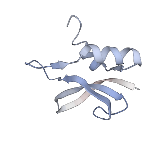 8615_5uyk_P_v1-3
70S ribosome bound with cognate ternary complex not base-paired to A site codon (Structure I)