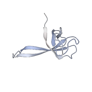 8615_5uyk_Q_v1-4
70S ribosome bound with cognate ternary complex not base-paired to A site codon (Structure I)