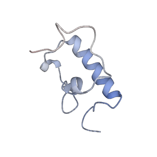 8615_5uyk_R_v1-4
70S ribosome bound with cognate ternary complex not base-paired to A site codon (Structure I)