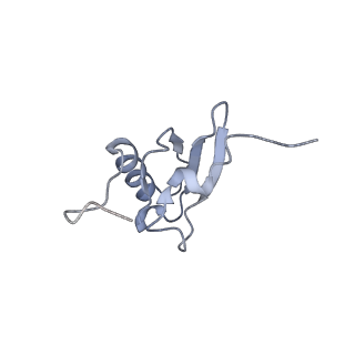 8615_5uyk_S_v1-3
70S ribosome bound with cognate ternary complex not base-paired to A site codon (Structure I)
