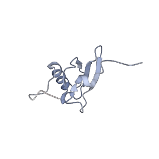 8615_5uyk_S_v1-4
70S ribosome bound with cognate ternary complex not base-paired to A site codon (Structure I)