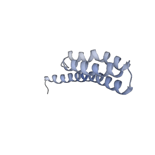 8615_5uyk_T_v1-4
70S ribosome bound with cognate ternary complex not base-paired to A site codon (Structure I)