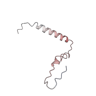 8615_5uyk_U_v1-4
70S ribosome bound with cognate ternary complex not base-paired to A site codon (Structure I)