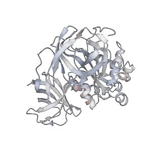 8615_5uyk_Z_v1-4
70S ribosome bound with cognate ternary complex not base-paired to A site codon (Structure I)