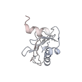 8616_5uyl_03_v1-3
70S ribosome bound with cognate ternary complex base-paired to A site codon (Structure II)