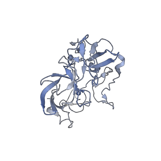 8616_5uyl_04_v1-3
70S ribosome bound with cognate ternary complex base-paired to A site codon (Structure II)