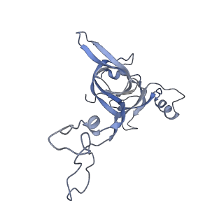 8616_5uyl_05_v1-4
70S ribosome bound with cognate ternary complex base-paired to A site codon (Structure II)