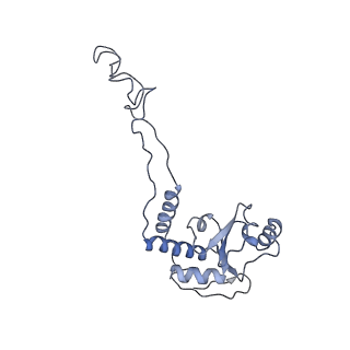 8616_5uyl_06_v1-3
70S ribosome bound with cognate ternary complex base-paired to A site codon (Structure II)