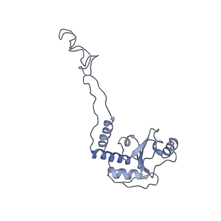 8616_5uyl_06_v1-4
70S ribosome bound with cognate ternary complex base-paired to A site codon (Structure II)