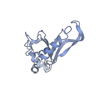 8616_5uyl_07_v1-4
70S ribosome bound with cognate ternary complex base-paired to A site codon (Structure II)