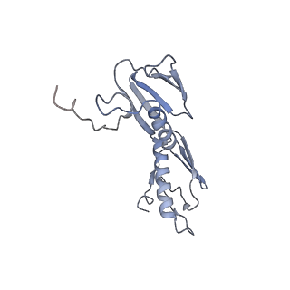 8616_5uyl_08_v1-3
70S ribosome bound with cognate ternary complex base-paired to A site codon (Structure II)