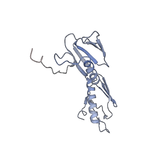 8616_5uyl_08_v1-4
70S ribosome bound with cognate ternary complex base-paired to A site codon (Structure II)