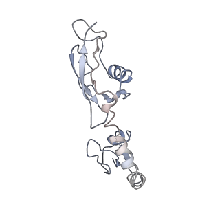 8616_5uyl_09_v1-3
70S ribosome bound with cognate ternary complex base-paired to A site codon (Structure II)