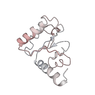 8616_5uyl_10_v1-4
70S ribosome bound with cognate ternary complex base-paired to A site codon (Structure II)