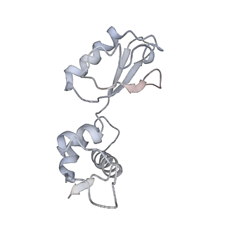 8616_5uyl_11_v1-3
70S ribosome bound with cognate ternary complex base-paired to A site codon (Structure II)