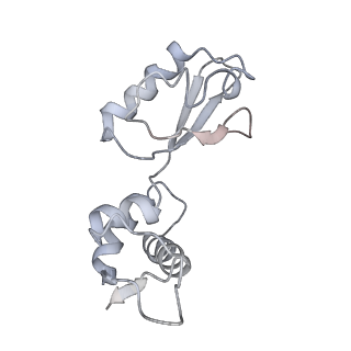 8616_5uyl_11_v1-4
70S ribosome bound with cognate ternary complex base-paired to A site codon (Structure II)