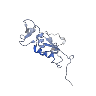 8616_5uyl_12_v1-3
70S ribosome bound with cognate ternary complex base-paired to A site codon (Structure II)