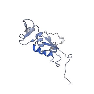 8616_5uyl_12_v1-4
70S ribosome bound with cognate ternary complex base-paired to A site codon (Structure II)