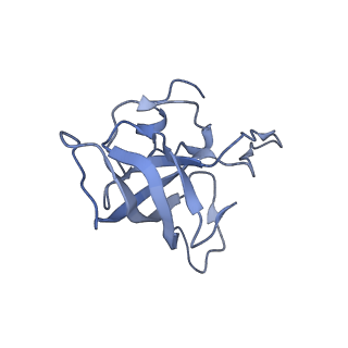 8616_5uyl_13_v1-3
70S ribosome bound with cognate ternary complex base-paired to A site codon (Structure II)