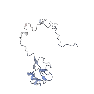 8616_5uyl_14_v1-3
70S ribosome bound with cognate ternary complex base-paired to A site codon (Structure II)