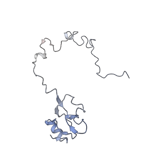 8616_5uyl_14_v1-4
70S ribosome bound with cognate ternary complex base-paired to A site codon (Structure II)