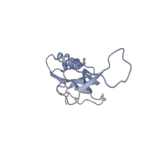 8616_5uyl_15_v1-4
70S ribosome bound with cognate ternary complex base-paired to A site codon (Structure II)