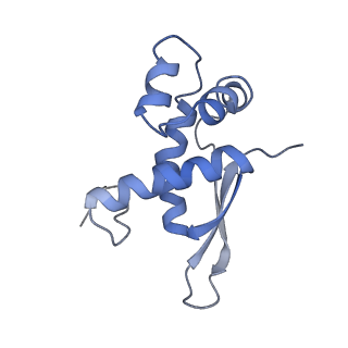 8616_5uyl_16_v1-3
70S ribosome bound with cognate ternary complex base-paired to A site codon (Structure II)