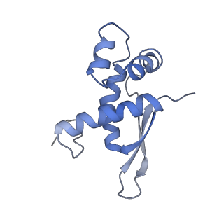 8616_5uyl_16_v1-4
70S ribosome bound with cognate ternary complex base-paired to A site codon (Structure II)