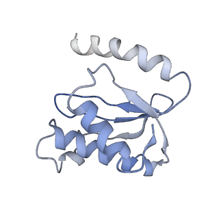 8616_5uyl_17_v1-4
70S ribosome bound with cognate ternary complex base-paired to A site codon (Structure II)