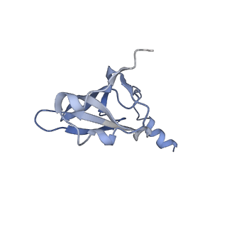 8616_5uyl_18_v1-3
70S ribosome bound with cognate ternary complex base-paired to A site codon (Structure II)
