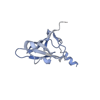 8616_5uyl_18_v1-4
70S ribosome bound with cognate ternary complex base-paired to A site codon (Structure II)