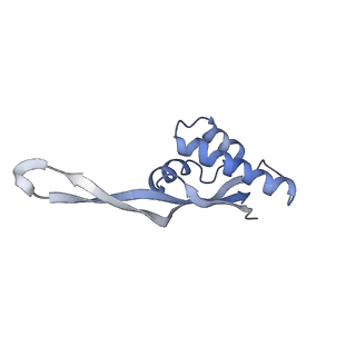 8616_5uyl_21_v1-4
70S ribosome bound with cognate ternary complex base-paired to A site codon (Structure II)