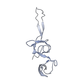 8616_5uyl_23_v1-4
70S ribosome bound with cognate ternary complex base-paired to A site codon (Structure II)