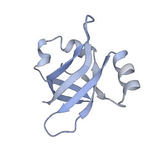 8616_5uyl_24_v1-4
70S ribosome bound with cognate ternary complex base-paired to A site codon (Structure II)