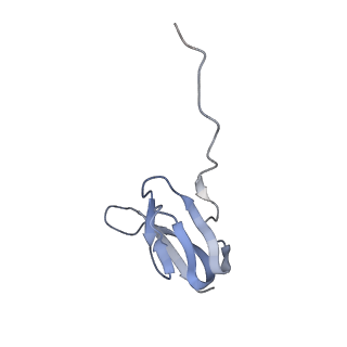 8616_5uyl_25_v1-3
70S ribosome bound with cognate ternary complex base-paired to A site codon (Structure II)