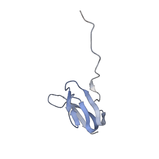 8616_5uyl_25_v1-4
70S ribosome bound with cognate ternary complex base-paired to A site codon (Structure II)