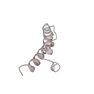 8616_5uyl_27_v1-3
70S ribosome bound with cognate ternary complex base-paired to A site codon (Structure II)