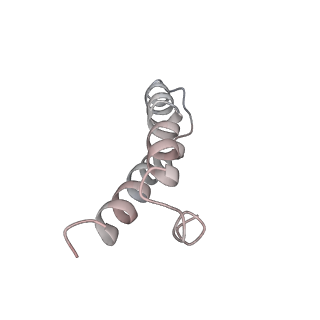 8616_5uyl_27_v1-4
70S ribosome bound with cognate ternary complex base-paired to A site codon (Structure II)