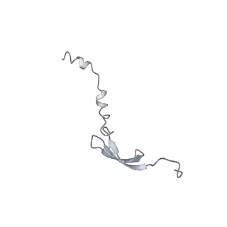 8616_5uyl_29_v1-4
70S ribosome bound with cognate ternary complex base-paired to A site codon (Structure II)