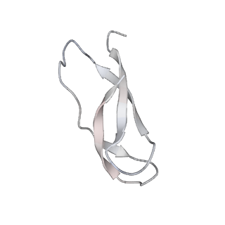 8616_5uyl_31_v1-4
70S ribosome bound with cognate ternary complex base-paired to A site codon (Structure II)