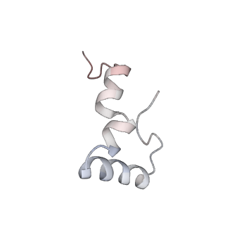 8616_5uyl_32_v1-3
70S ribosome bound with cognate ternary complex base-paired to A site codon (Structure II)