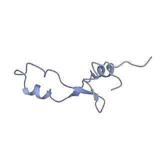 8616_5uyl_33_v1-3
70S ribosome bound with cognate ternary complex base-paired to A site codon (Structure II)
