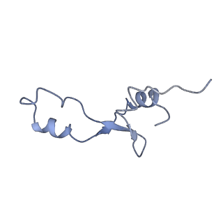 8616_5uyl_33_v1-4
70S ribosome bound with cognate ternary complex base-paired to A site codon (Structure II)