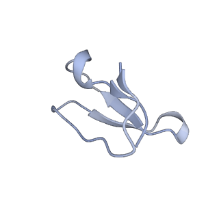 8616_5uyl_34_v1-3
70S ribosome bound with cognate ternary complex base-paired to A site codon (Structure II)