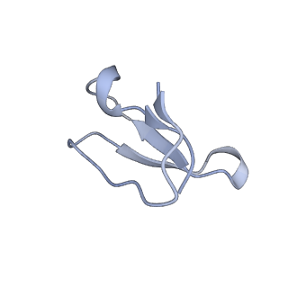 8616_5uyl_34_v1-4
70S ribosome bound with cognate ternary complex base-paired to A site codon (Structure II)