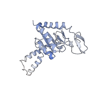 8616_5uyl_B_v1-3
70S ribosome bound with cognate ternary complex base-paired to A site codon (Structure II)